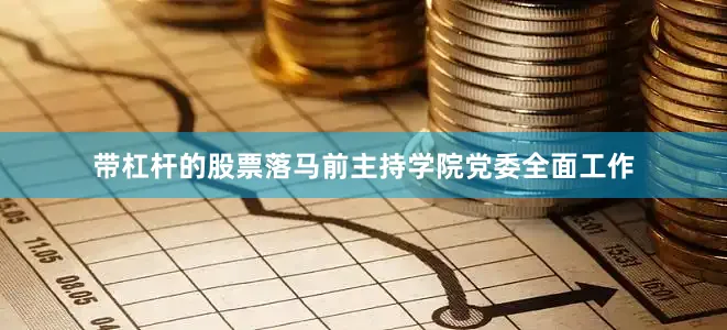 带杠杆的股票落马前主持学院党委全面工作