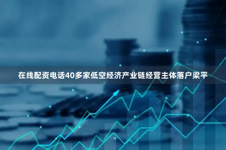 在线配资电话40多家低空经济产业链经营主体落户梁平