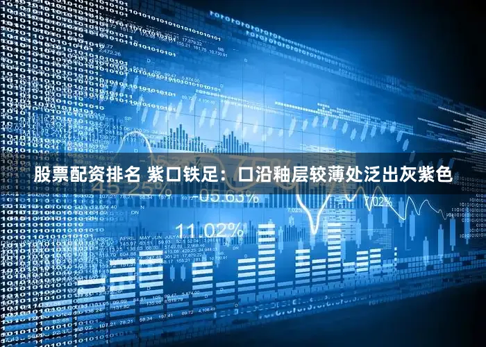 股票配资排名 紫口铁足：口沿釉层较薄处泛出灰紫色