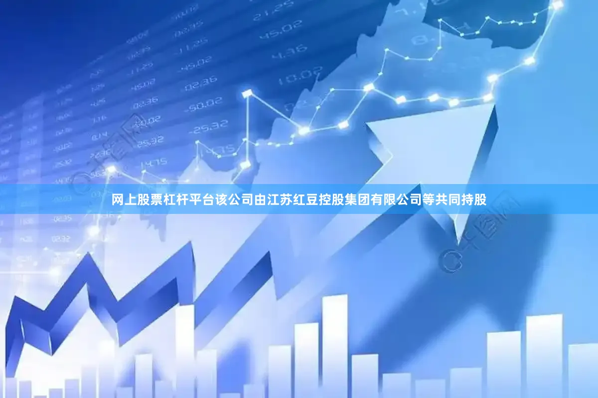 网上股票杠杆平台该公司由江苏红豆控股集团有限公司等共同持股