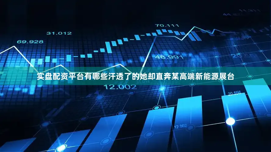 实盘配资平台有哪些汗透了的她却直奔某高端新能源展台